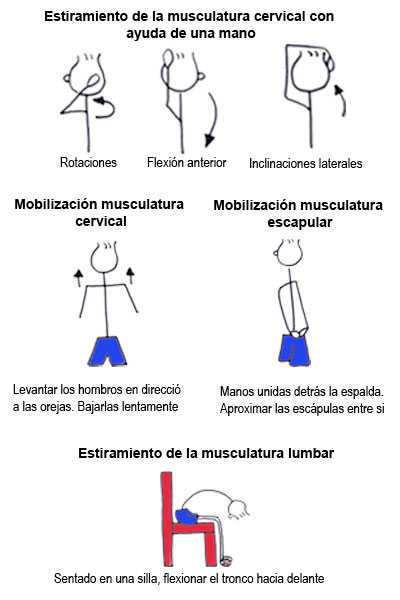 Recomendaciones básicas de higiene postural para tu columna