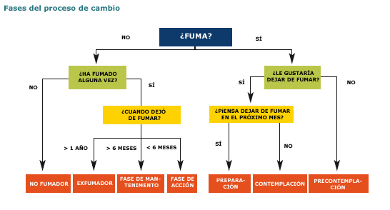 Fases del proceso de cambio - organigrama ¿fuma?